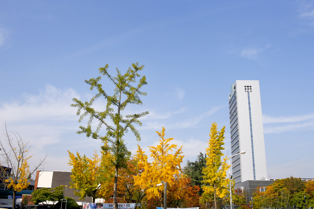 Campus-Autumn 2014